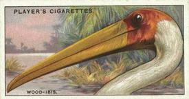 1929 Player's Curious Beaks #27 The Wood-Ibis Front