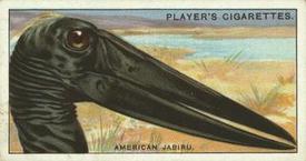 1929 Player's Curious Beaks #28 The American Jabiru Front