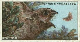 1929 Player's Curious Beaks #32 The Nightjar Front
