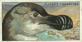 1929 Player's Curious Beaks #38 The Razorbill Front