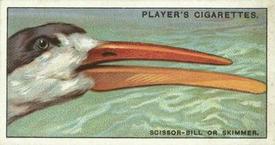 1929 Player's Curious Beaks #40 The scissor-bill or Skimmer Front