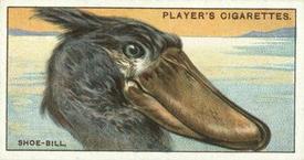 1929 Player's Curious Beaks #43 The Shoe-bill Front