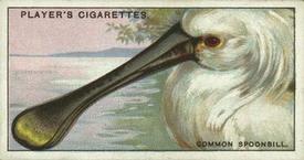 1929 Player's Curious Beaks #45 The Common Spoonbill Front
