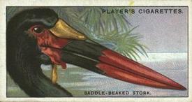 1929 Player's Curious Beaks #46 The Saddle-beaked Stork Front
