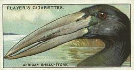 1929 Player's Curious Beaks #47 The African Shell-Stork Front