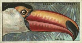 1929 Player's Curious Beaks #49 The Toucan Front