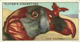 1929 Player's Curious Beaks #50 The King-Vulture Front