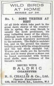1935 Baldric Wild Birds at Home #1 Song Thrush at Nest Back