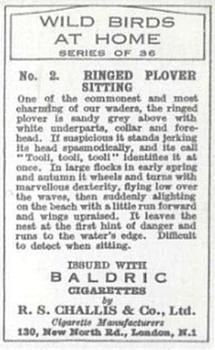 1935 Baldric Wild Birds at Home #2 Ringed Plover Sitting Back