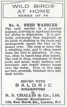 1935 Baldric Wild Birds at Home #4 Reed Warbler Back