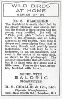 1935 Baldric Wild Birds at Home #6 Blackbird Back