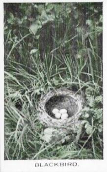 1935 Baldric Wild Birds at Home #6 Blackbird Front
