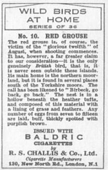 1935 Baldric Wild Birds at Home #10 Red Grouse Back