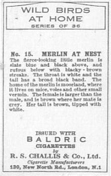 1935 Baldric Wild Birds at Home #15 Merlin at Nest Back