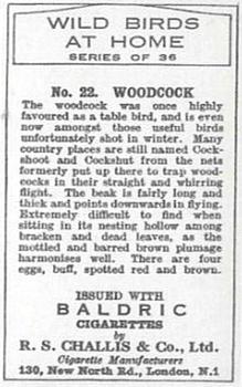 1935 Baldric Wild Birds at Home #22 Woodcock Back