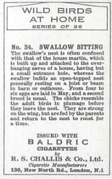 1935 Baldric Wild Birds at Home #34 Swallow Sitting Back