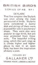 1937 Gallaher British Birds #1 Skylark Back