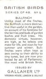 1937 Gallaher British Birds #5 Bullfinch Back