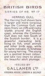 1937 Gallaher British Birds #17 Herring Gull Back