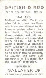 1937 Gallaher British Birds #18 Mallard Back