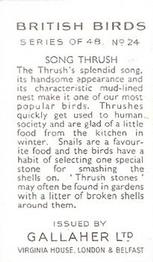 1937 Gallaher British Birds #24 Song Thrush Back