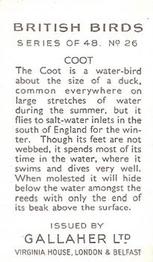 1937 Gallaher British Birds #26 Coot Back