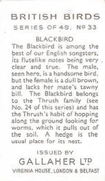 1937 Gallaher British Birds #33 Blackbird Back