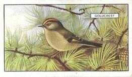 1937 Gallaher British Birds #34 Goldcrest Front