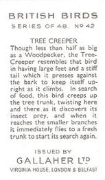 1937 Gallaher British Birds #42 Tree Creeper Back