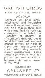 1937 Gallaher British Birds #43 Jackdaw Back