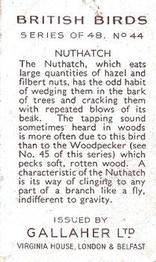 1937 Gallaher British Birds #44 Nuthatch Back