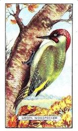 1937 Gallaher British Birds #45 Green Woodpecker Front