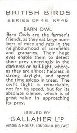 1937 Gallaher British Birds #46 Barn Owl Back