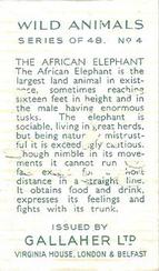 1937 Gallaher Wild Animals #4 African Elephant Back
