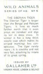 1937 Gallaher Wild Animals #5 Siberian Tiger Back