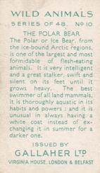 1937 Gallaher Wild Animals #10 Polar Bear Back