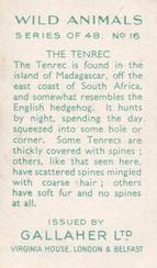 1937 Gallaher Wild Animals #16 Tenrec Back