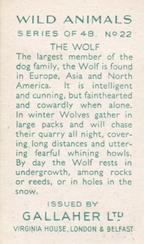 1937 Gallaher Wild Animals #22 Wolf Back