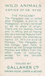 1937 Gallaher Wild Animals #23 Mangabey Back