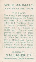 1937 Gallaher Wild Animals #25 Kiang Back