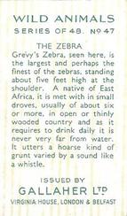 1937 Gallaher Wild Animals #47 Zebra Back