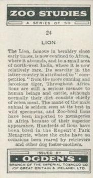 1937 Ogden's Zoo Studies #24 Lion Back