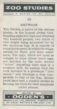 1937 Ogden's Zoo Studies #30 Ostrich Back