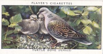 1955 Player's Birds and Their Young (Second Series) (Unreleased) #4 Turtle Dove Front