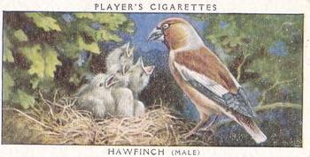 1955 Player's Birds and Their Young (Second Series) (Unreleased) #7 Hawfinch Front