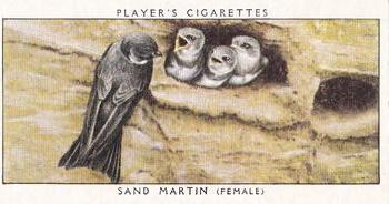 1955 Player's Birds and Their Young (Second Series) (Unreleased) #10 Sand Martin Front