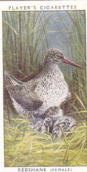 1955 Player's Birds and Their Young (Second Series) (Unreleased) #14 Redshank Front