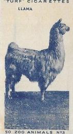 1954 Turf Zoo Animals #3 Llama Front