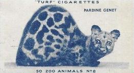 1954 Turf Zoo Animals #8 Pardine Genet Front
