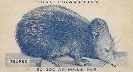 1954 Turf Zoo Animals #9 Teurec Front